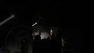 Салуки мазерленд 2019