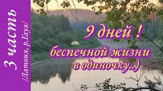 "Эксперименты, экстрим и рыба невидимка ').."
