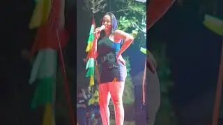 CEKSCY GALA GALA XENA XENITA