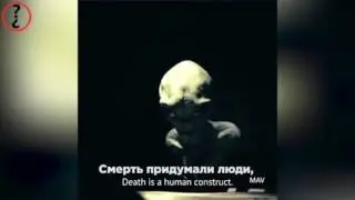 Инопланетне это Пришелцы из будущего или отдельный вид.