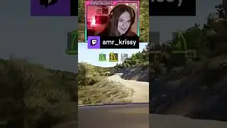 KRISSY AIRLINES | amr_krissy on #Twitch