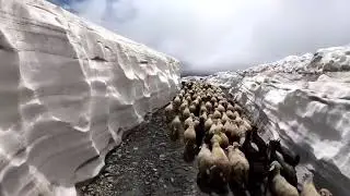 Most beautiful Traffic Jam in the Mountains 😎 | Travelatmaofficial | Riderlife | Travelmunioffocial