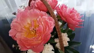 Букет в корзине меняется каждый день.