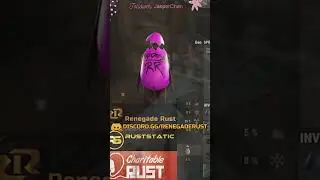 We did it for Charity