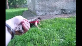 Вторжение