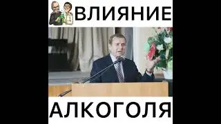 Без бутылки не разберёшься. Ефимов про влияние алкоголя на мозг