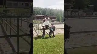 Дети бьют ловушку для ос как боксерскую грушу🤪
