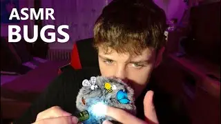 ASMR Bugs Searching
