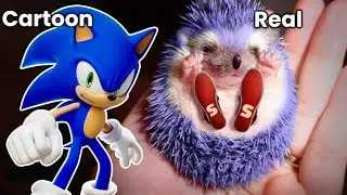 sonic the hedgehog in real life 💥 all Characters💥