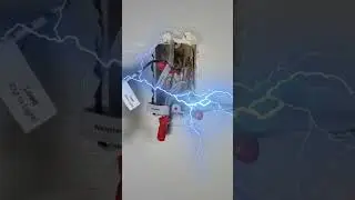 THIS IS THE BEST SMART LIGHT SWITCH! Works with ALEXA or GOOGLE