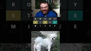 What's this dog's name?? 