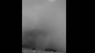 Crab flail Edit