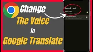 How To Change The Voice In Google Translate - Complete Guide