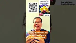 Doença bacteriana nas orquídeas. Mancha aquosa! #robertotakane #livrosubstratotecnico