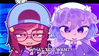 WHAT YOU WANT || FC: #tomi300kfc || Tomixity x Vixvee