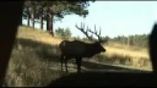 He almost ramed us!