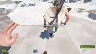 when the discord kitten hops on rust...