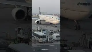 Plane Spotting at Dubai Airport - Saudia and Egypt Air 
