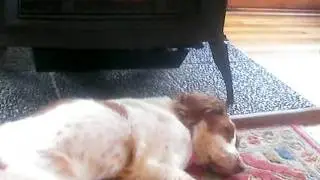 Dimaondsleeping