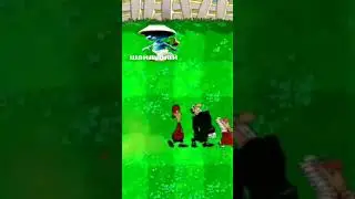шайлушай в разных местах shorts.