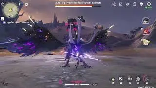 Rover Havoc v Impermanence Heron (No Swap No Heal) |Wuthering Wave