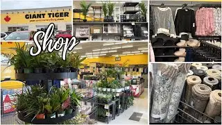 Giant Tiger Shop with me