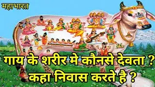 गाय के शरीर मे कौनसे देवता रहते है।gau mata ki katha। gau mata katha। sabse bada devta kon hai।