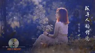 徐心愉 - 成年人的錯覺/也記得你背我趟過雨夜.♡動態歌詞/Vietsub/Pinyin Lyrics♛