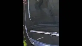 Лобовой GERB новинка эксклюзив ойна +99897 454 09 95☎️