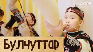 Булчуттар