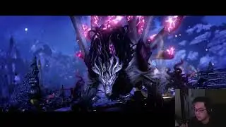 8 DMG RE Blade HM Strike Raid 4c4 bus (560m dps)