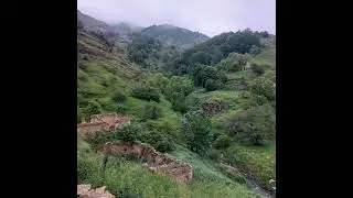 Zabil Kəlbəcərli Çorman Şer