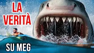 I fatti sugli squali vi faranno pensare due volte a nuotare nell'oceano