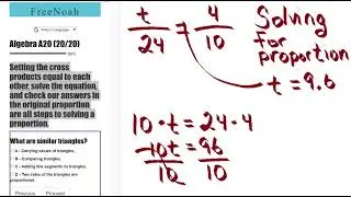 Algebra Assessment 20 Question (19/20) Solving For Proportion