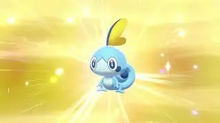 Shiny sobble in 5 egss