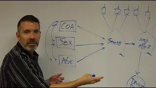 SEM Episode 4: The Structural Equation Model