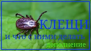 Клещи и что с ними делать. Дополнение