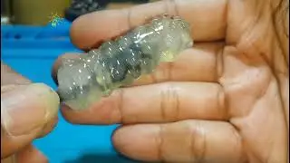 Membuat VlBRATOR Alat PIJAT mini kecil bikin Berkeringat!!!