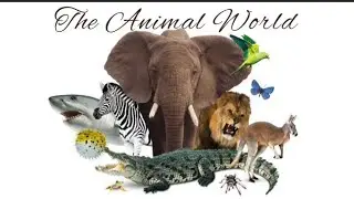 Animal World /Types of Animals /Birds/Insects /Land & Water Animals /Wild & Pet Animals /EVS/Grade 1