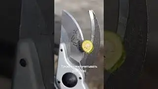 Секаторы VertexTools 