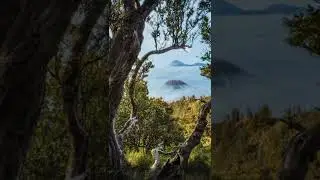background gunung beromo