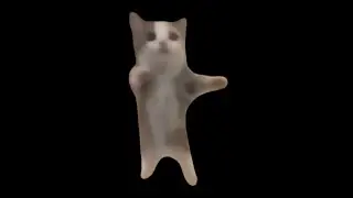 Hapi Cat Tiktok Compilation