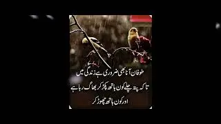 quotes urdu deep beautiful picture motivation magsi