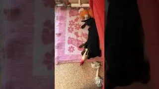 Карандаш вернулся к Курочке