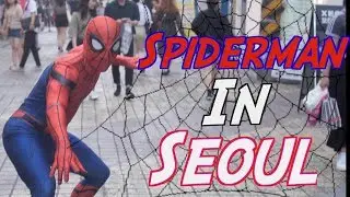 I Ran Around Seoul Dressed as Spider-Man