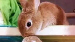 Слайд шоу ураааа вас уже 11 спасибо огромное 😍😍😍💋💋