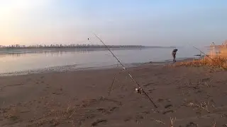 ДНО