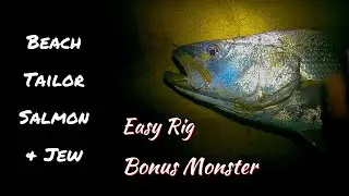 Beach Tailor, Salmon, & Jewfish | Favourite Rigs - Bonus Monster