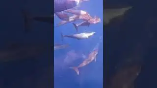 Бали, ты такой разносторонний! Я влюбилась 😍