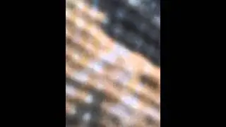 Dışarıdaki çocuklara bağırma
